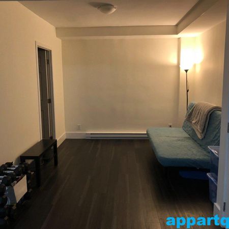 Montréal – Côte-des-Neiges – Place Lucy – Beautiful 1 bedroom apartments for Rent - Photo 4