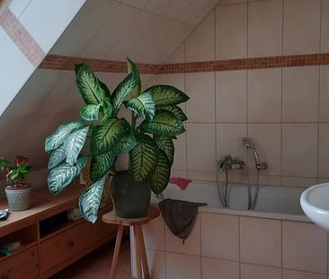 2-Etagen-Wohnung mit Garten in Stadtfeld West - Photo 3