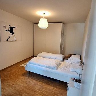 2.5-Zimmer-Wohnung am Erholungsgebiet Stadtoase zu vermieten - Foto 1