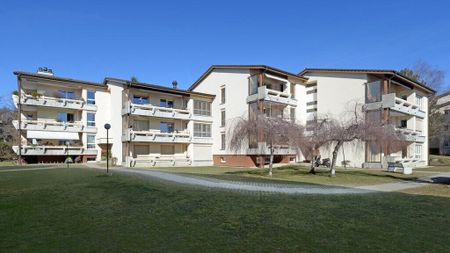 À saisir ! Appartement coup de coeur ! - Foto 5