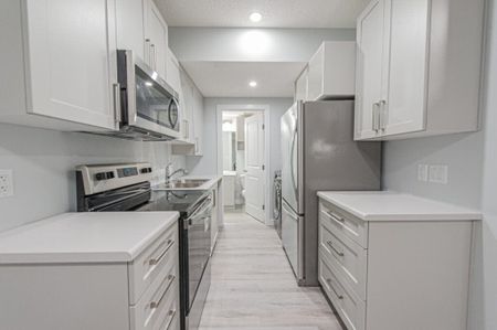 Edmonton Unfurnished apartment Rental in Cavanagh - New Lower Level Unit With In Suite Laundry - Photo 3