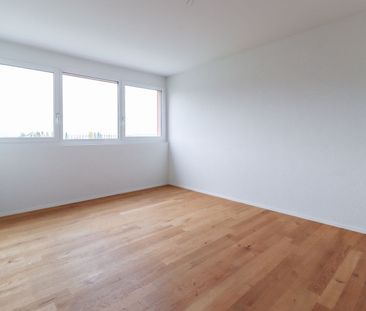 Attika-Wohnung mit sonniger Dachterrasse - Photo 1