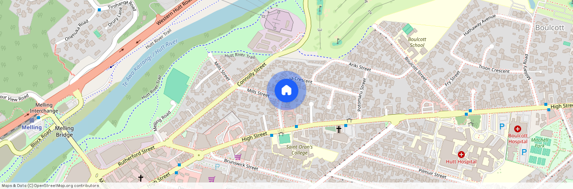 35 Ropata Crescent, Boulcott, Lower Hutt