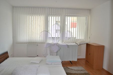 2 rooms flat rent in the centre - Fotó 3