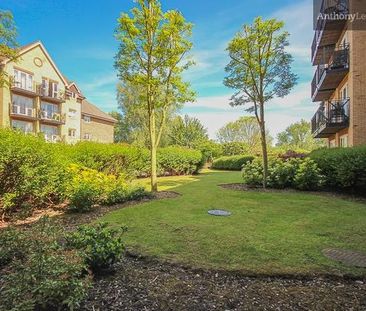 Willow View, Crane Mead, Ware - Photo 3