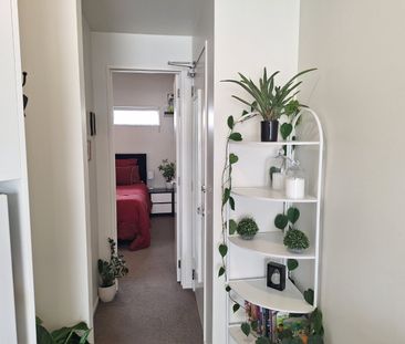 Prime Ponsonby Location - Photo 1