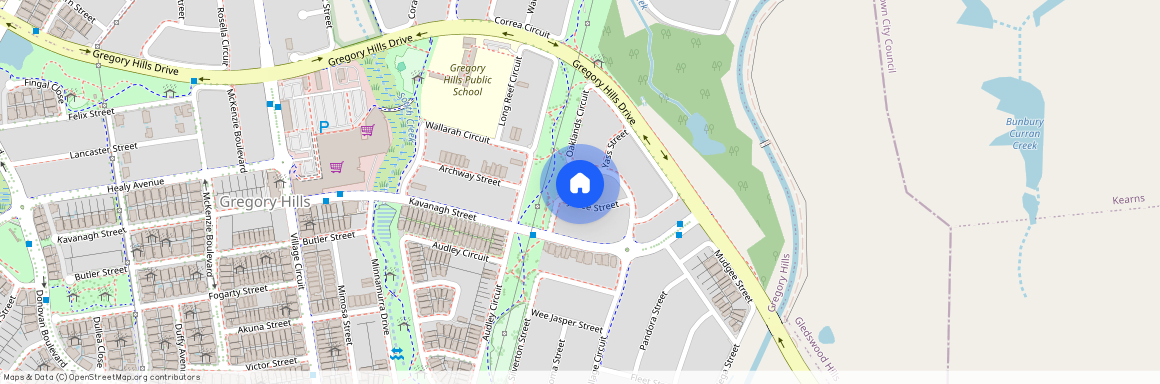 9 Junee Street, NSW 2557, Gregory Hills