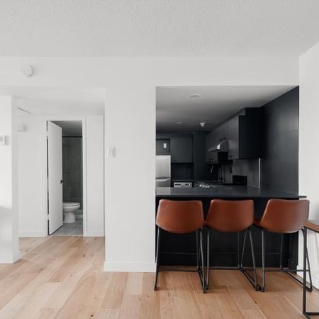 3 ½ entièrement meublé à louer Saint-Jean-Baptiste août 2026 - Photo 3