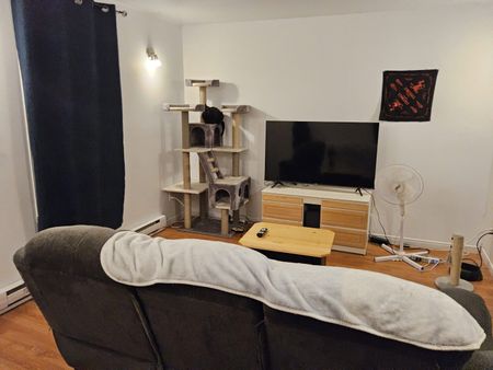 35 rue Célina Trois-Rivières - Photo 2