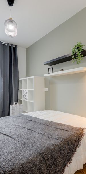 NICOLAÏ Roommate 3 Bedrooms at Lyon 7e - Photo 1