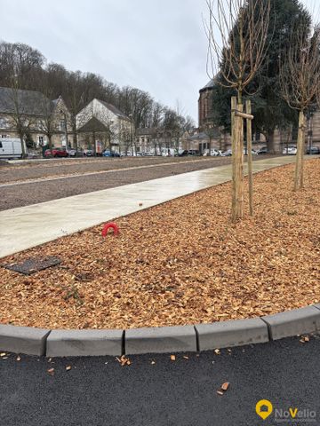 Location Appartement 1 pièce 20m² FORBACH 57600 - Photo 5