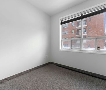 For Lease - 1641 Victoria Pk Avenue, Toronto, Ontario - Photo 4