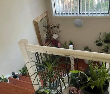 Warwick Farm - Photo 4