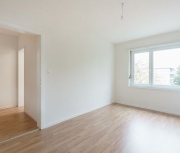 3-room apartment with private washer-dryer - Foto 6