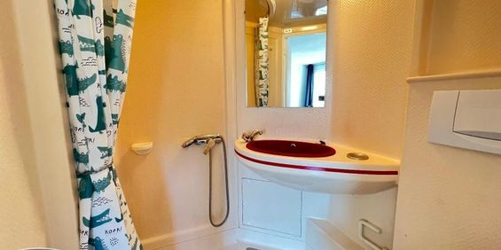 Location Appartement 1 pièce 18m² CHAMBERY 73000 - Photo 3