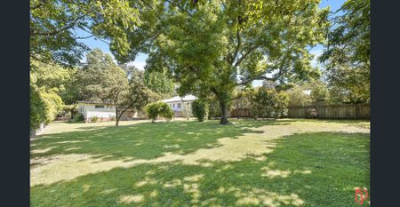 Charming 3-Bedroom Home with Spacious Backyard - Photo 3