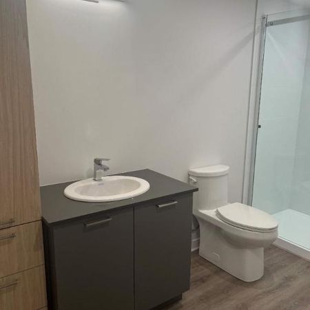 1 CH - 1 SDB - Terrebonne - $1,615 /mo - Photo 4