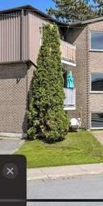 4 1/2 Mont-Laurier, extrêmement propre, corridor sécurisé - Photo 4
