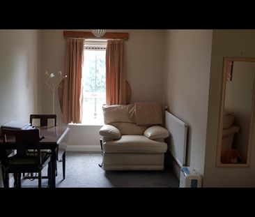 2 Bed Flat, Guildford Avenue, S2 - Photo 2