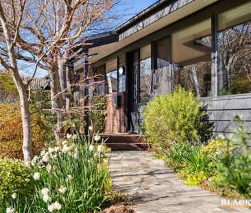 14 Jelbart Street, Mawson ACT 2607 - House For Rent | Domain - Photo 6