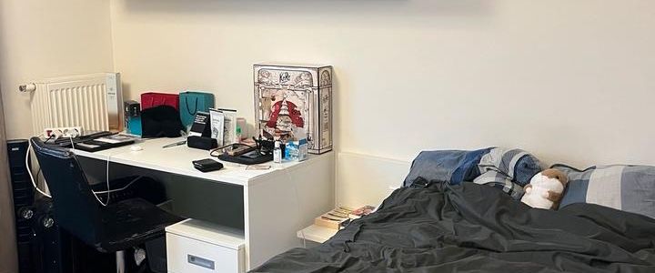 Nachmieter*in ab 1.1. gesucht! 1-Zimmer-Wohnung - Foto 1