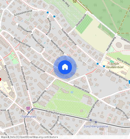 Fritz Fleiner - Weg 11, 8044 Zürich