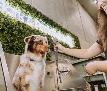 310/36 Lambert Street, Kangaroo Point QLD 4169 - Apartment For Rent... - Photo 2