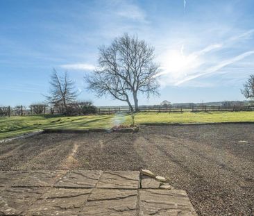 4 bedroom detached house to rent - Photo 4