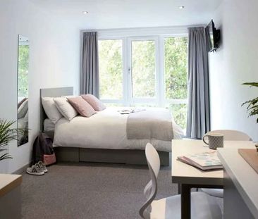 Silver Studio Deluxe - Photo 6