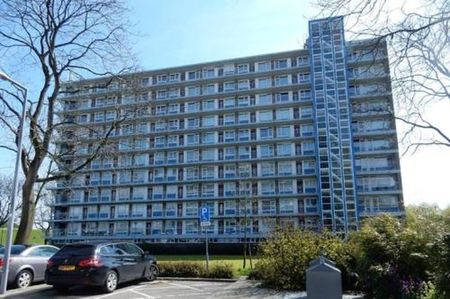 Burgemeester Hazenberglaan 3078 HG Rotterdam - Photo 5