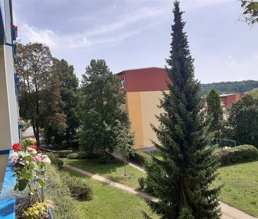 Tolle 3-Raumwohnung in ruhiger Lage - Foto 1