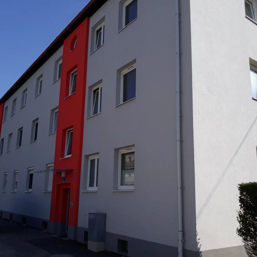 3-Zimmer-Wohnung, Top 31 - Foto 1