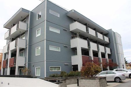 Bachelor Suite For Rent In Surrey/ Pets Allowed. - Photo 3