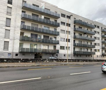 4 Zimmer, 110 m² - Photo 4