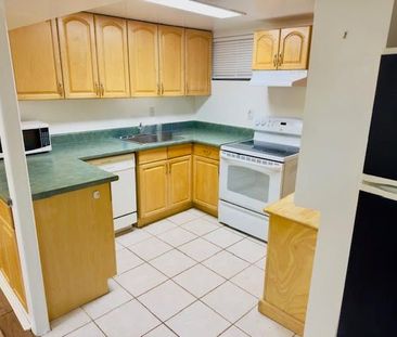 For Lease - 165 Torrens Avenue Unit# Basement, Toronto, Ontario - Photo 6