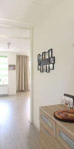 Steenakker - Photo 4