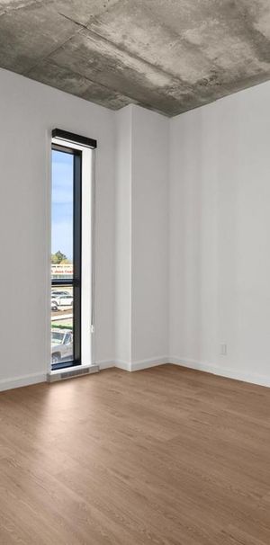 1 Bedroom Large - 230 Boulevard Harwood, Vaudreuil-Dorion - Photo 1