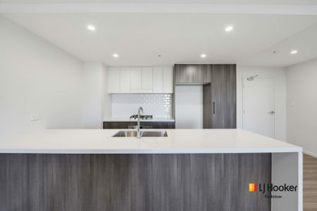 Brand New Unit with Modern Interiors & Two Car Spaces - Photo 4