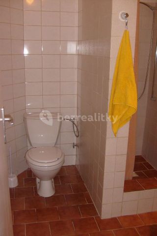Pronájem bytu 1+kk • 30 m² bez realitkyPraha - Vokovice - Photo 5