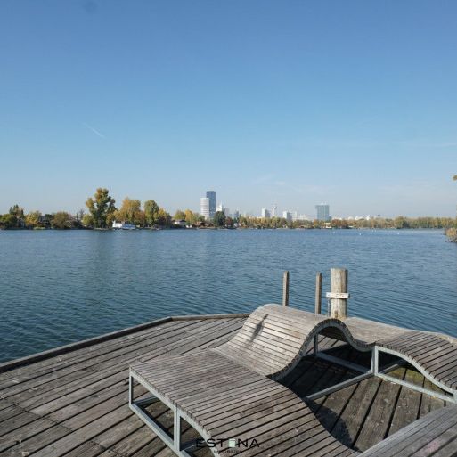 Doppelhaushälfte direkt bei der Alten Donau – Wohnen im Grünen mit Stadtnähe - Foto 1