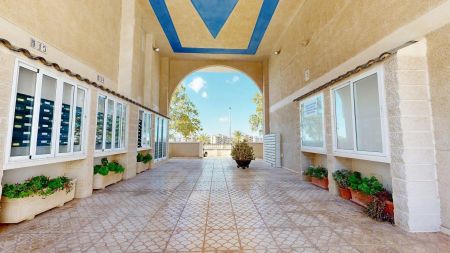 Elche / Elx - Photo 4