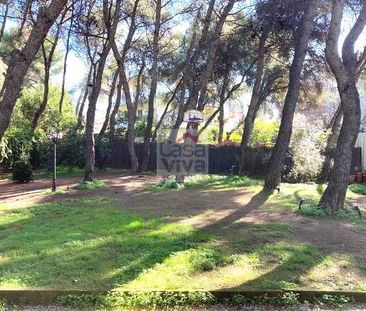 Μονοκατοικία για ενοικίαση Νέα Κηφισιά (Κηφισιά) - Photo 5