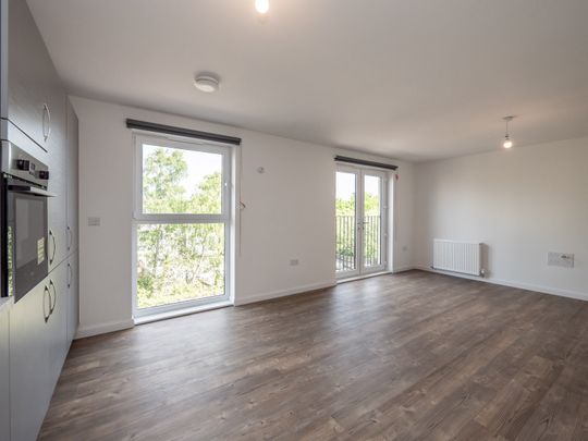 3 bedroom apartment to rent - Photo 1