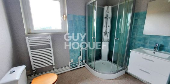 STUDIO AU CALME PROCHE CENTRE VILLE D AGEN - Photo 3
