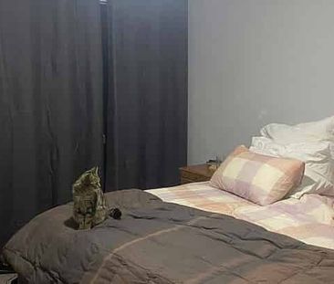 Charming 3-Bedroom Home in Nawton - Photo 2