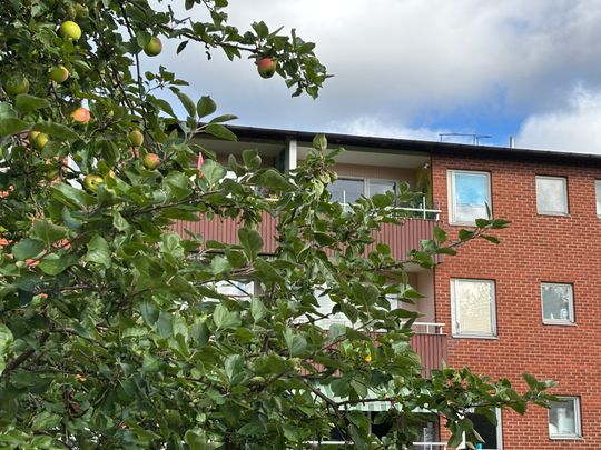 Våmmedalsvägen 130 - Photo 1