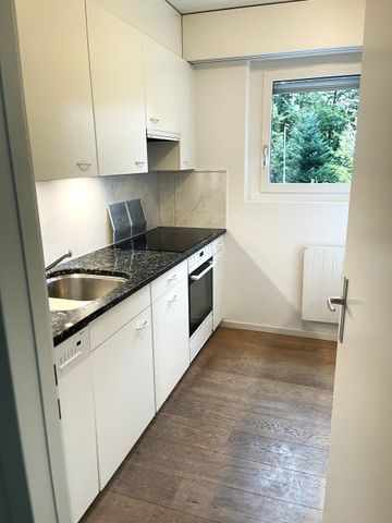 Moderne 4.5 Zimmerwohnung im 2. OG zu vermieten - Photo 3
