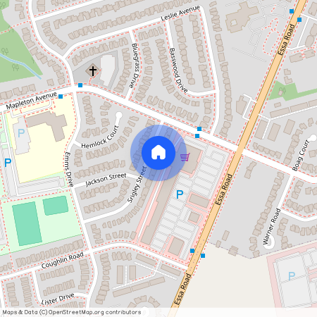 25 Srigley (Entire House) Street, Barrie