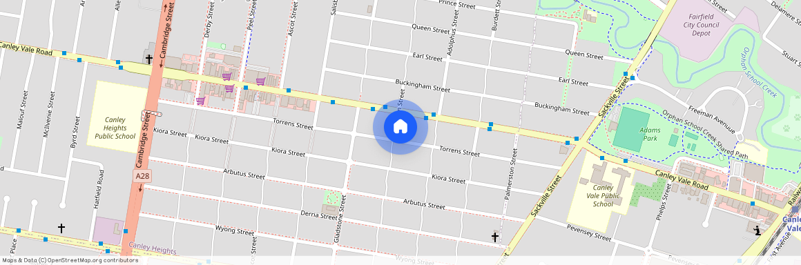 59 Torrens Street, Canley Heights, NSW 2166