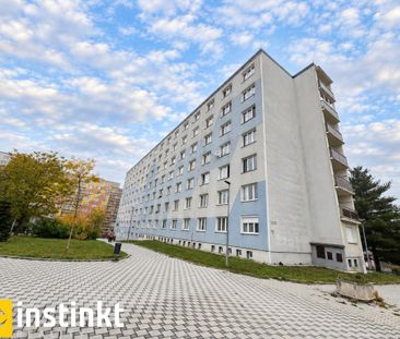 Pronájem bytu 2+1 66 m2 - Fotografie 1